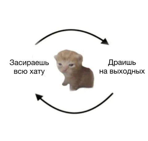 Круговорот выходных и уборки
