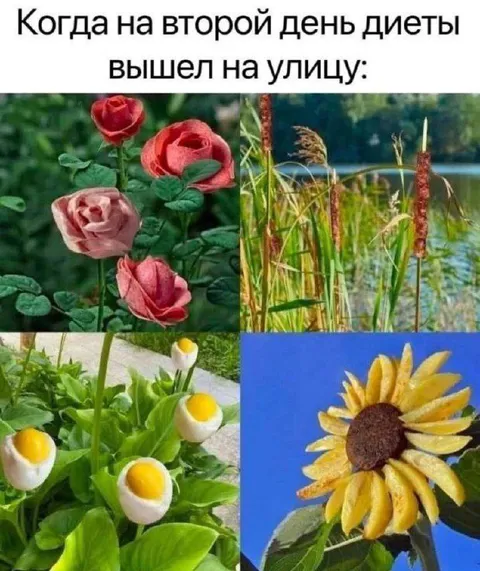 Когда диета сводит с ума