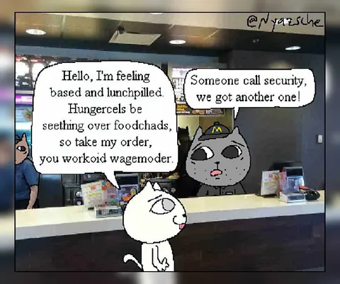 Based Lunchpill Cat at McDonald's