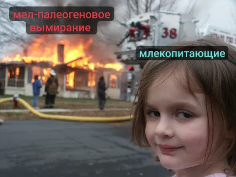 Мел-палеогеновое вымирание