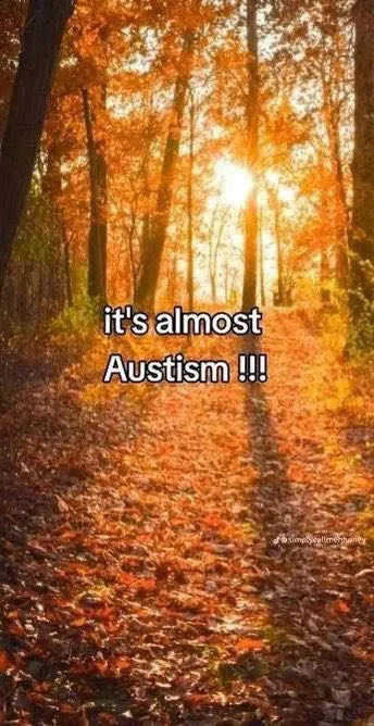 It's Almost Austism