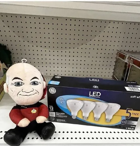 Picard Sells LED Bulbs