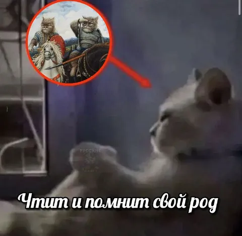 Кот чтит свой род