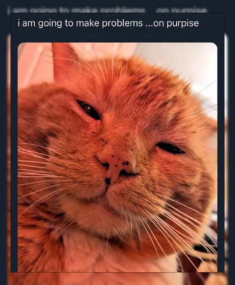 Cat Making Problems on Purpose