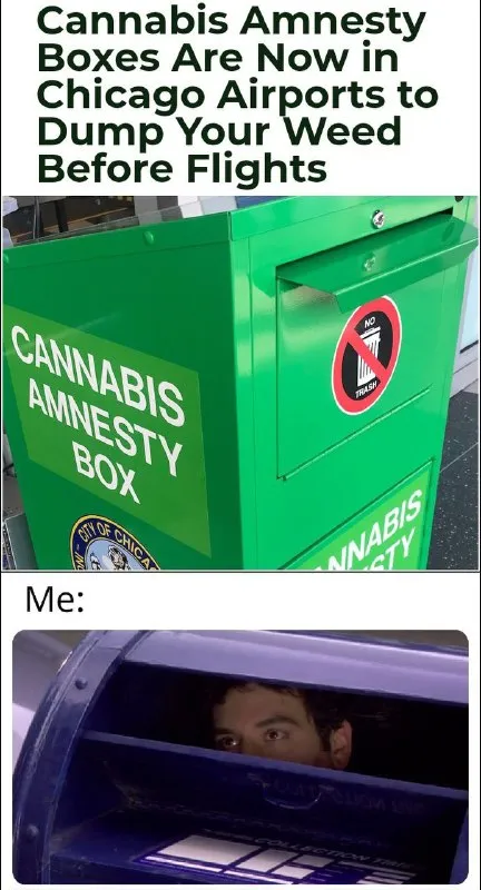 Cannabis Amnesty Box Reaction