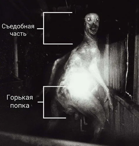 Съедобная часть и горькая попка