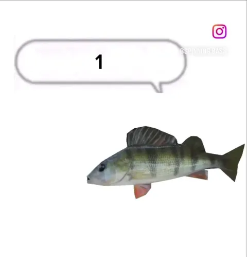 Fish Sings Cotton-Eyed Joe