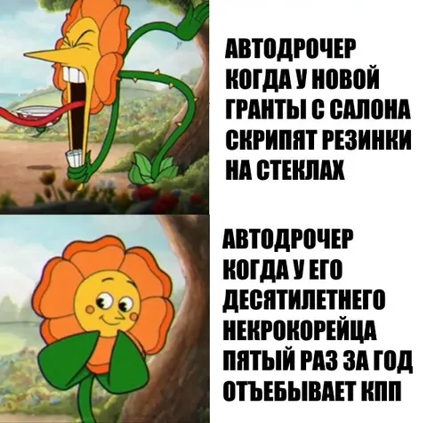 Автодрочер и скрипящие резинки