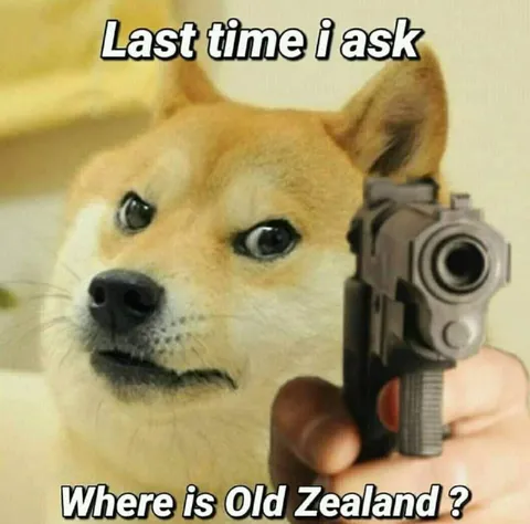 Doge Asks About Old Zealand
