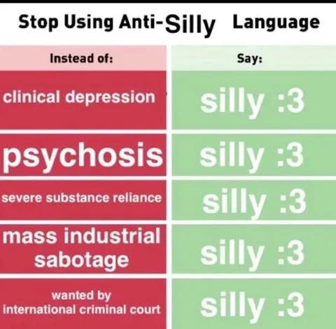 Stop Using Anti-Silly Language