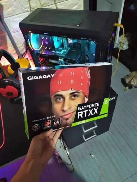 GIGAGAY GAYFORCE Graphics Card