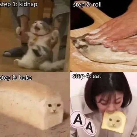Four Steps to Make Cat Bread