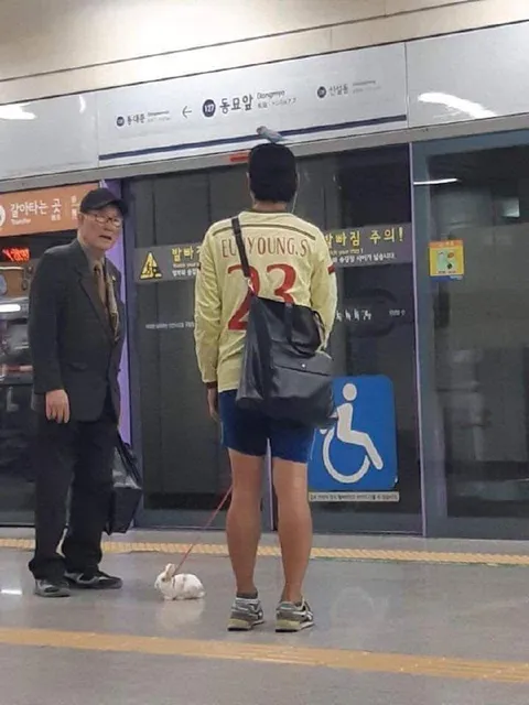 지하철역의 뜻밖의 산책