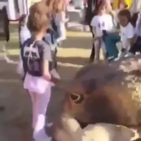Вордт вышел на прогулку