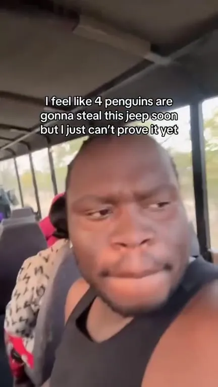 Four Penguins Are Going to Steal the Jeep