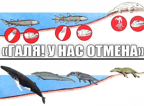 Галя, у нас отмена