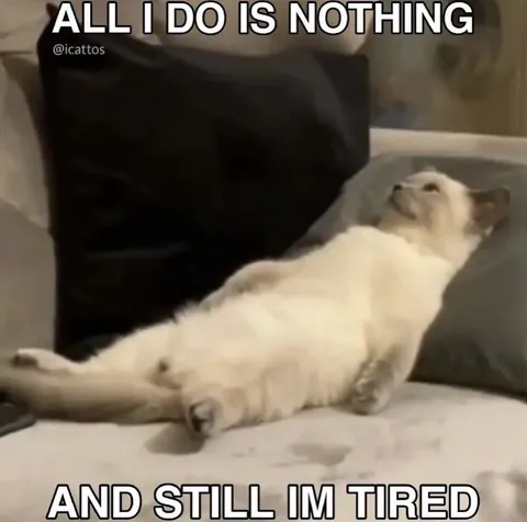All I Do Is Nothing