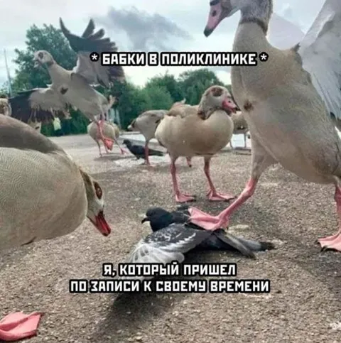 Бабки в поликлинике