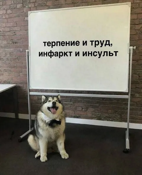Терпение и труд до инфаркта