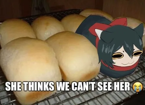 She Thinks We Can't See Her