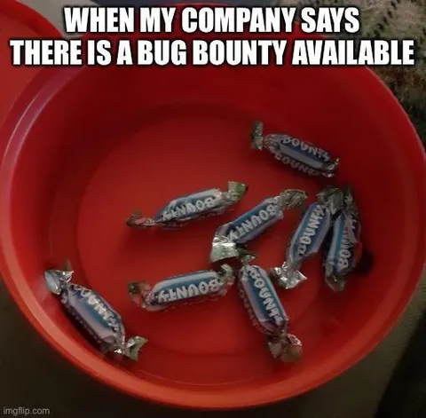 Company Offers a Bug Bounty