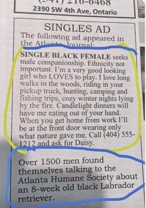 Black Labrador Personal Ad Twist