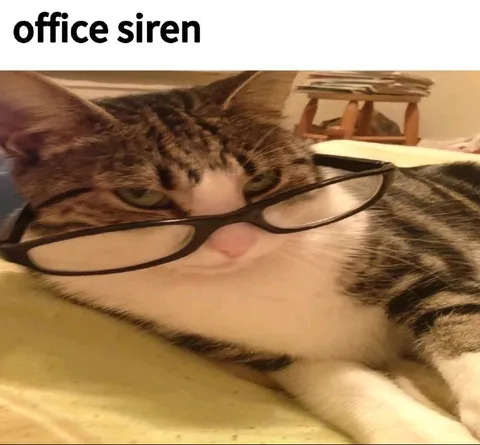 Office Siren Cat