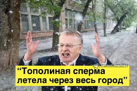 Тополинная сперма летела через город