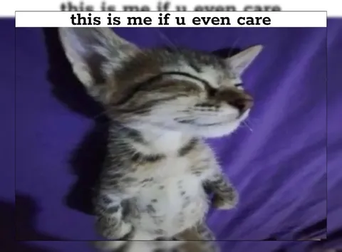 This Is Me If You Even Care