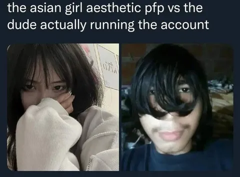 the asian girl aesthetic pfp