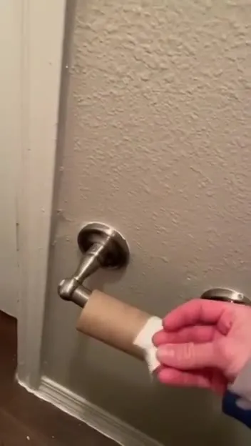 Born to Shit, Forced to Wipe