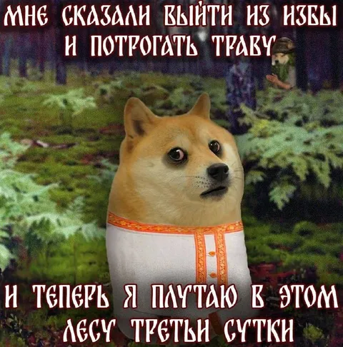 Пастух после прогулки