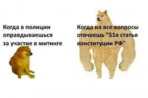 51-я статья Конституции РФ