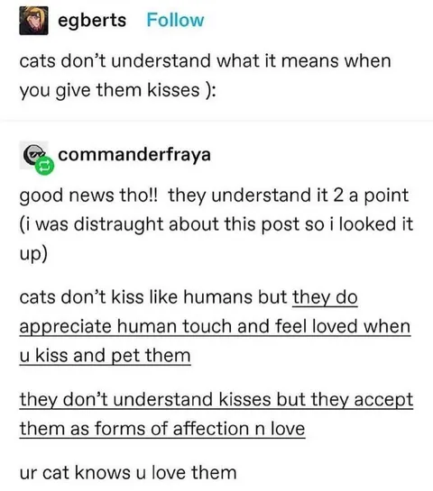 Cats Understand Human Kisses
