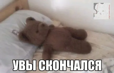 Увы, скончался медвежонок