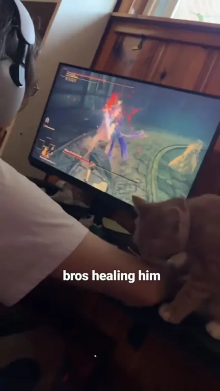 Cat heals gamer during boss fight
