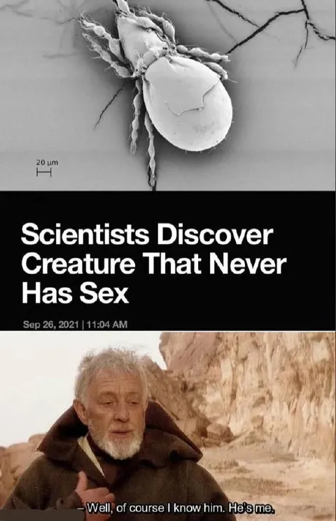 Creature That Never Has Sex