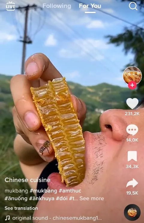 Chinese Cuisine Mukbang