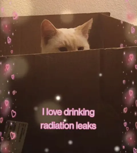 Cat Drinking Radiation Leaks
