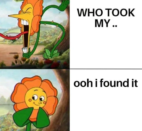Who Took My Flower