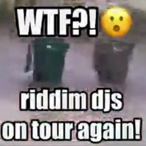 Riddim DJs on Tour Again
