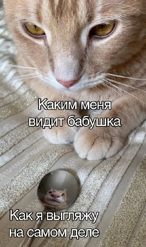 Как меня видит бабушка
