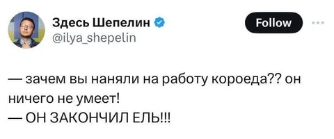 Зачем наняли короеда