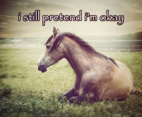I Still Pretend I'm Okay