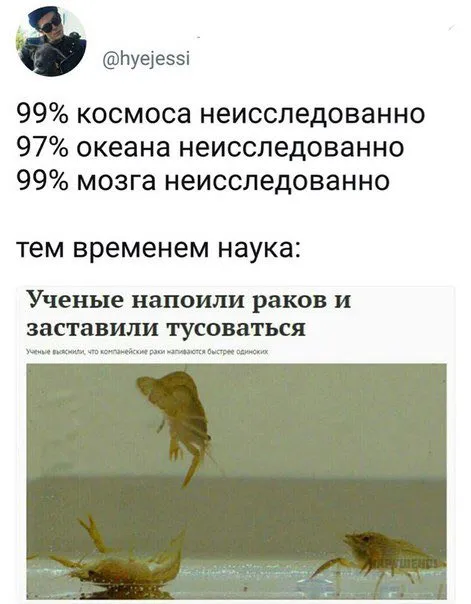Тем временем наука изучает раков