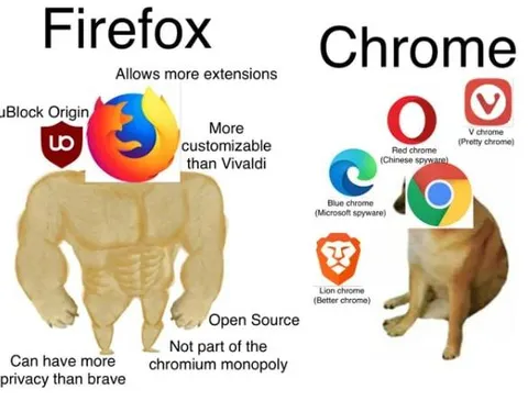Firefox vs Chrome Privacy