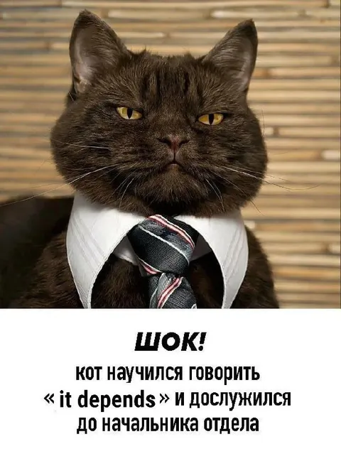 Кот начальник отдела