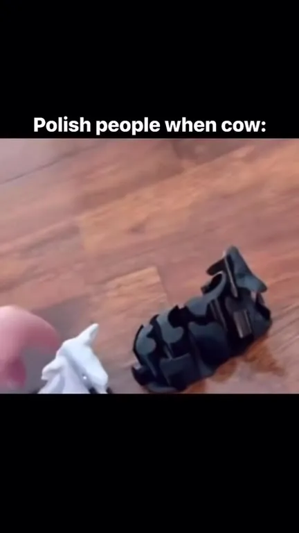 Polish People When Cow