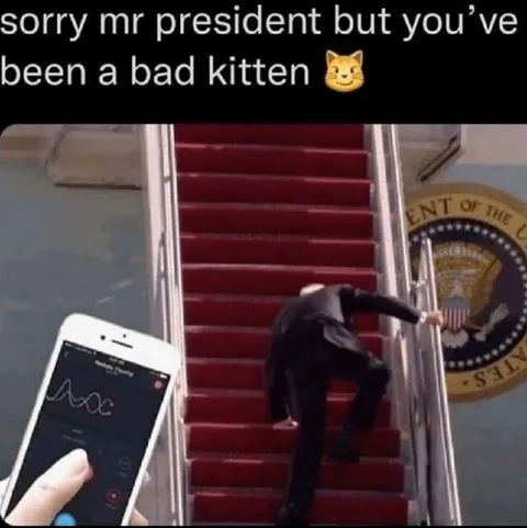 Bad Kitten Climbs Presidential Stairs