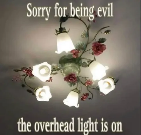 Sorry for Being Evil Light